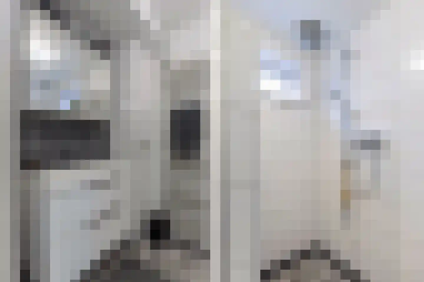 Terp 1 Sexbierum thumbnail 25