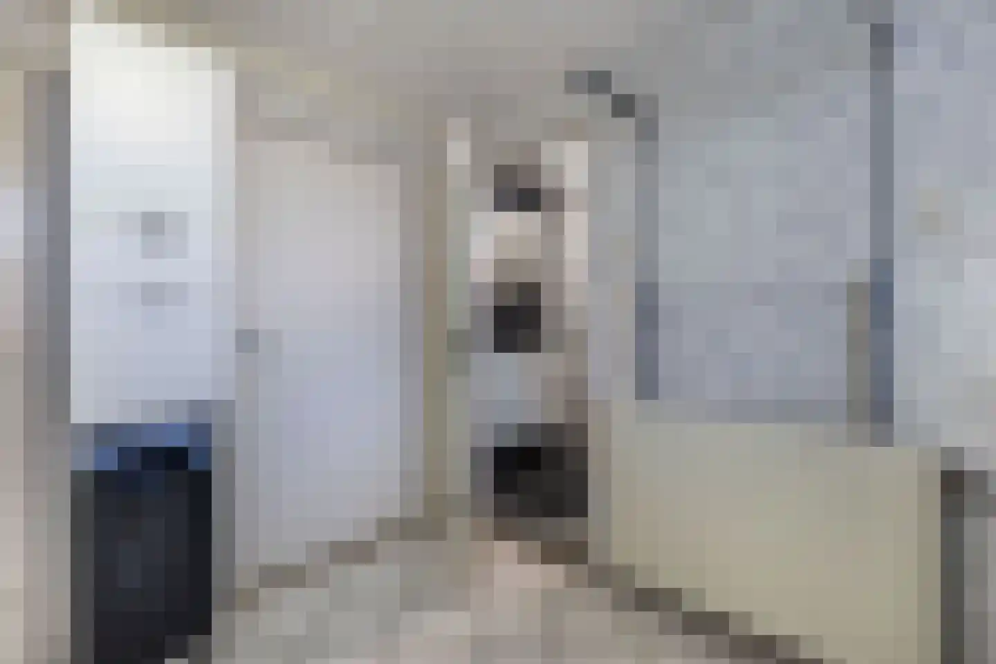 Terp 1 Sexbierum thumbnail 29