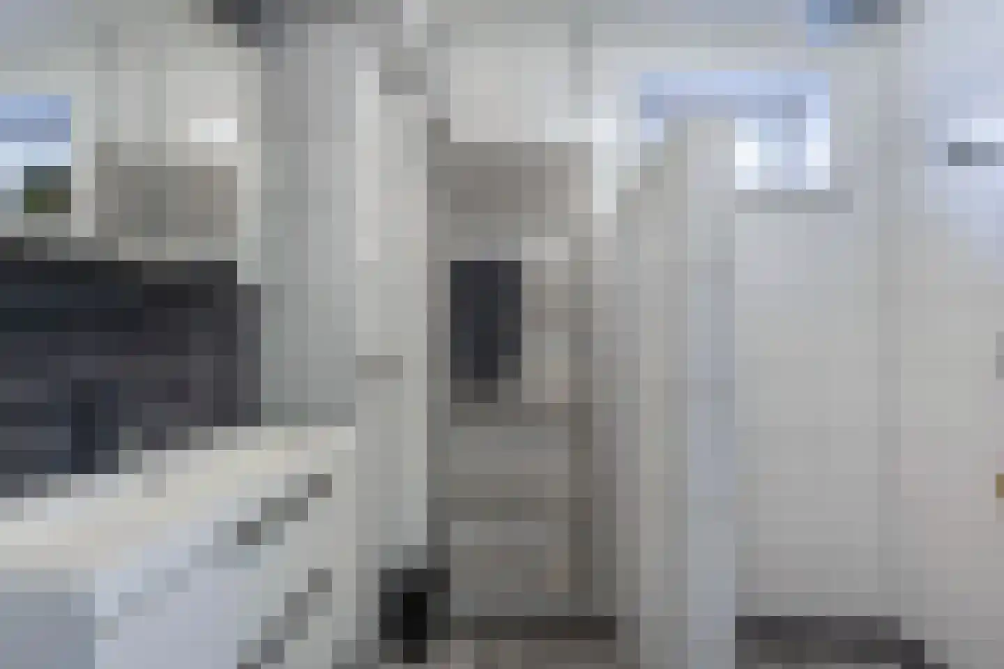 Terp 1 Sexbierum thumbnail 30