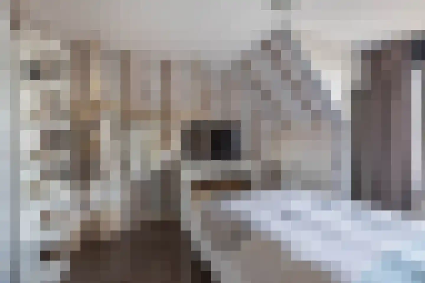 Terp 1 Sexbierum thumbnail 40