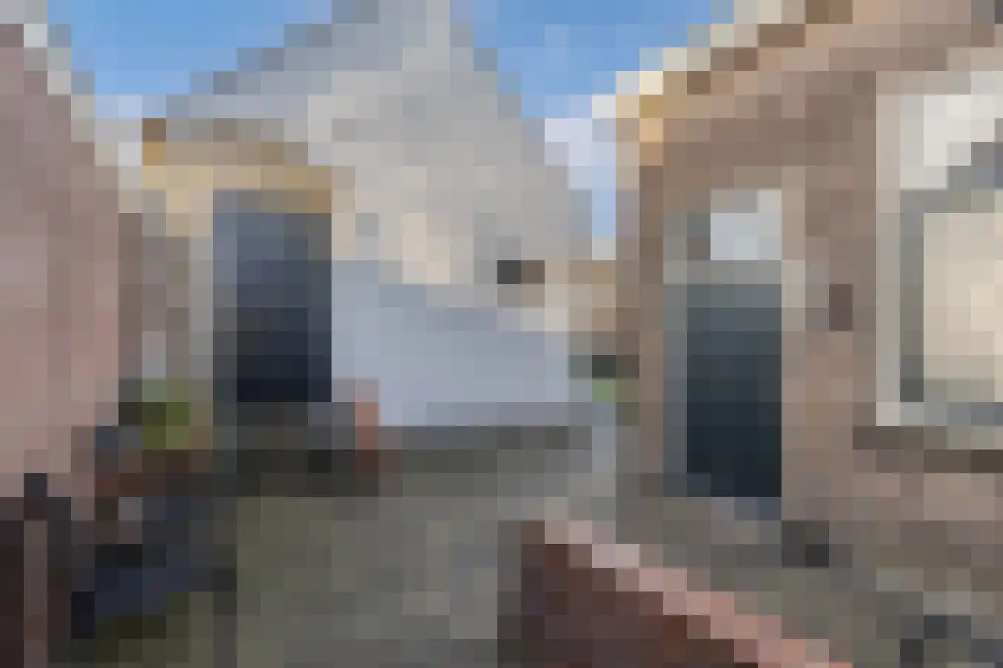 Terp 1 Sexbierum thumbnail 50