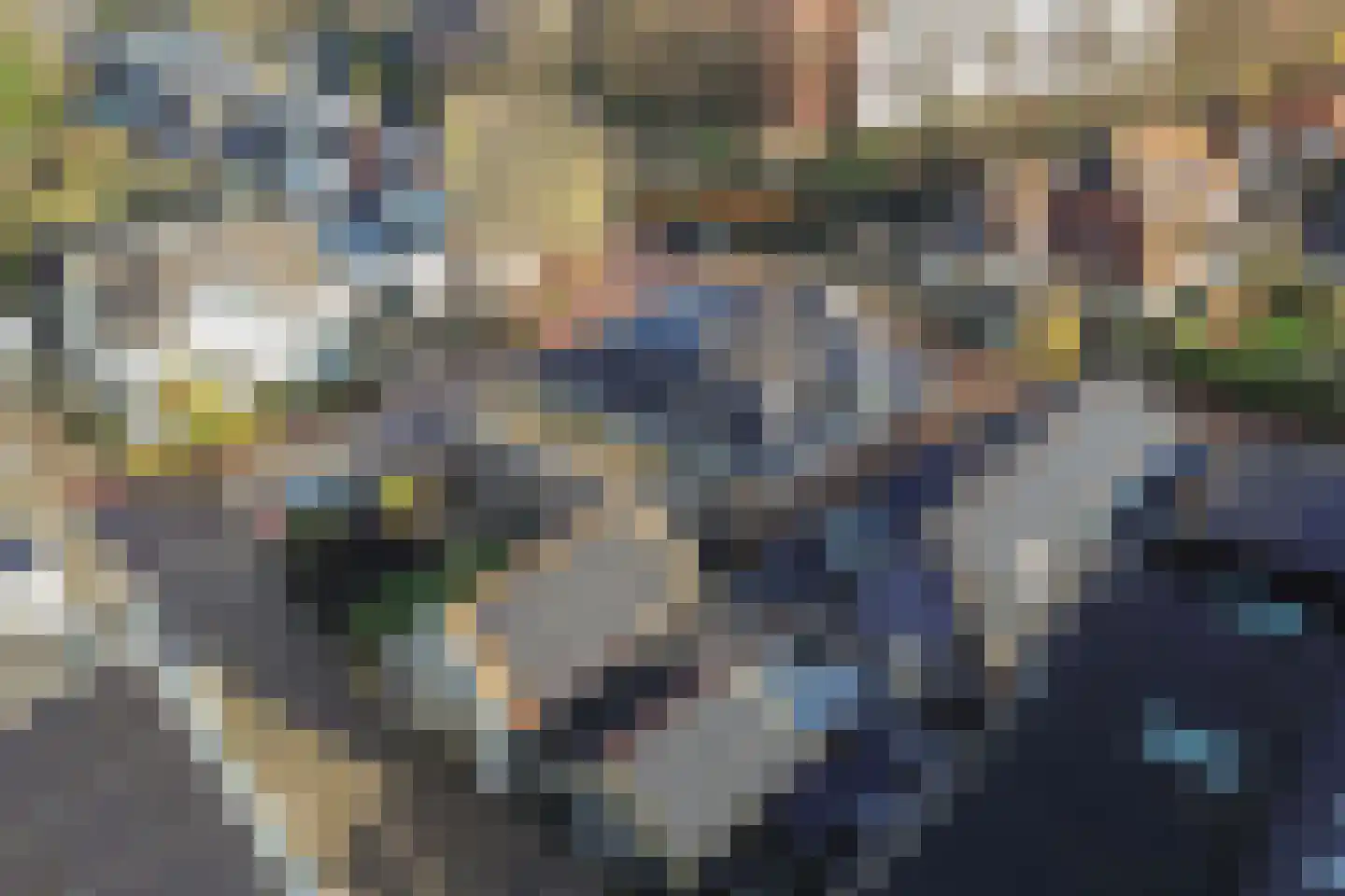 Terp 1 Sexbierum thumbnail 55