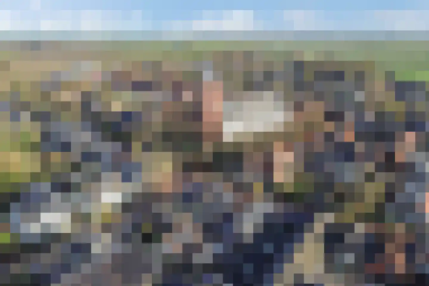 Terp 1 Sexbierum thumbnail 64
