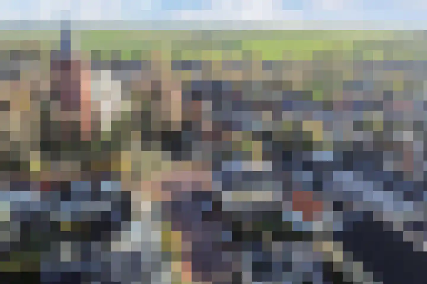 Terp 1 Sexbierum thumbnail 65