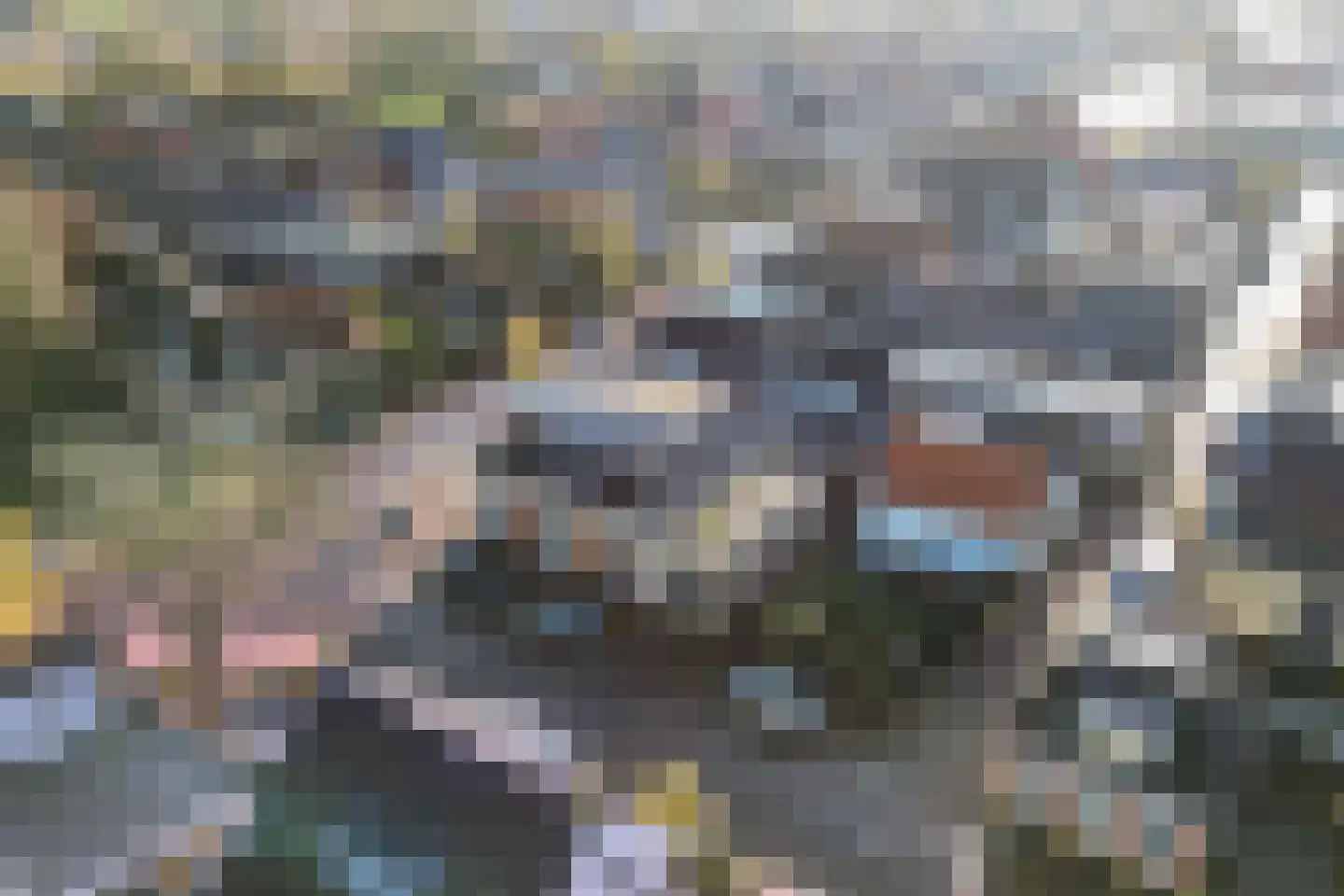Terp 1 Sexbierum thumbnail 66