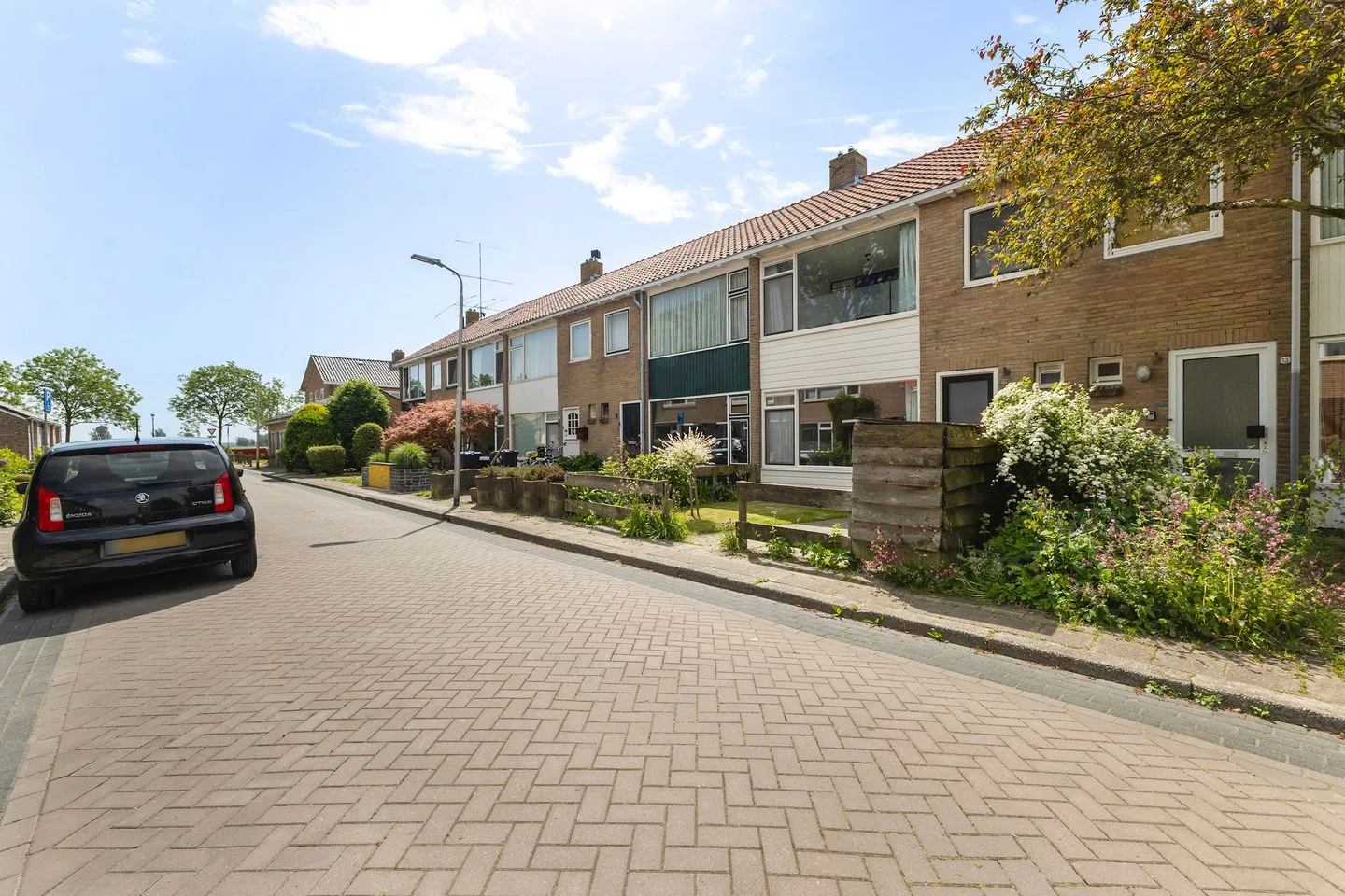 Terp 11 Lekkum thumbnail 8