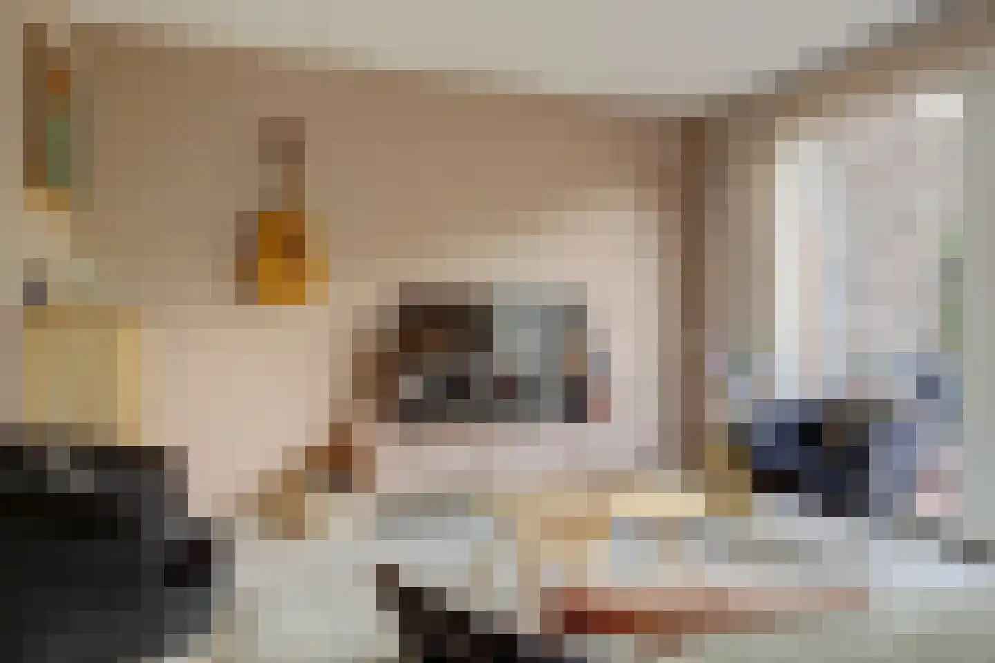 Terp 17 Alkmaar thumbnail 11