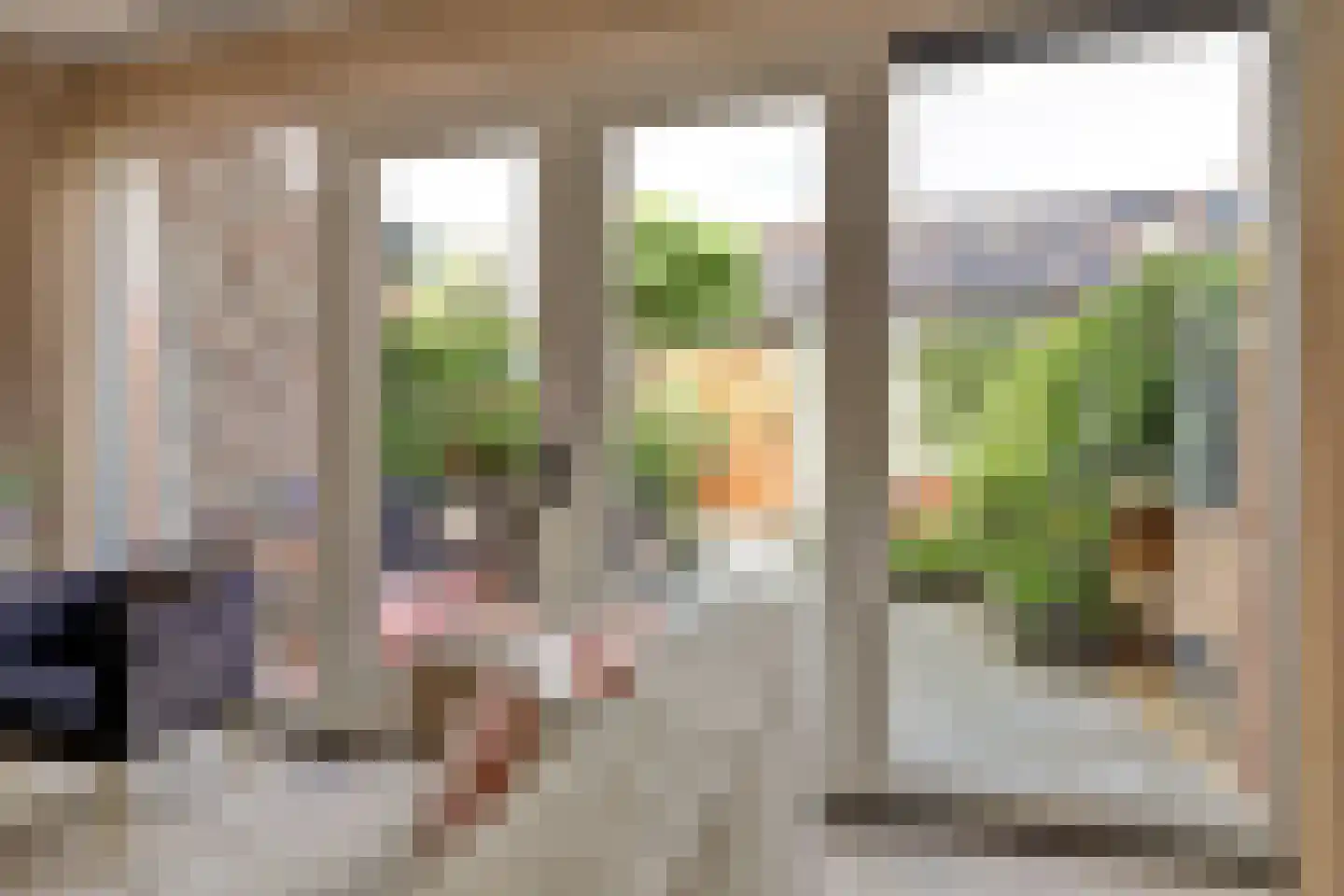 Terp 17 Alkmaar thumbnail 12