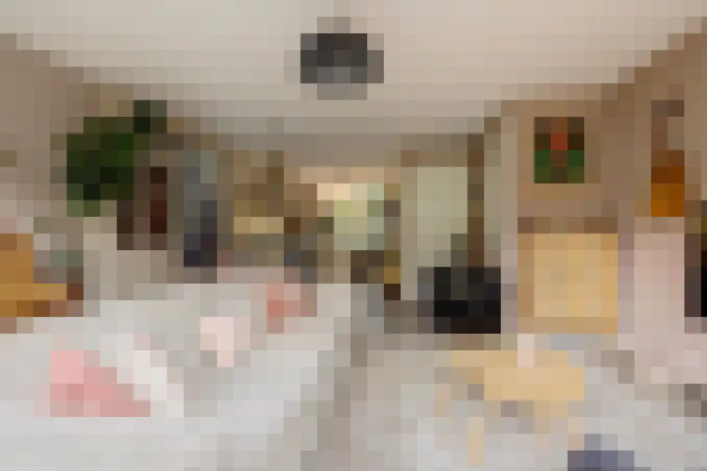Terp 17 Alkmaar thumbnail 15