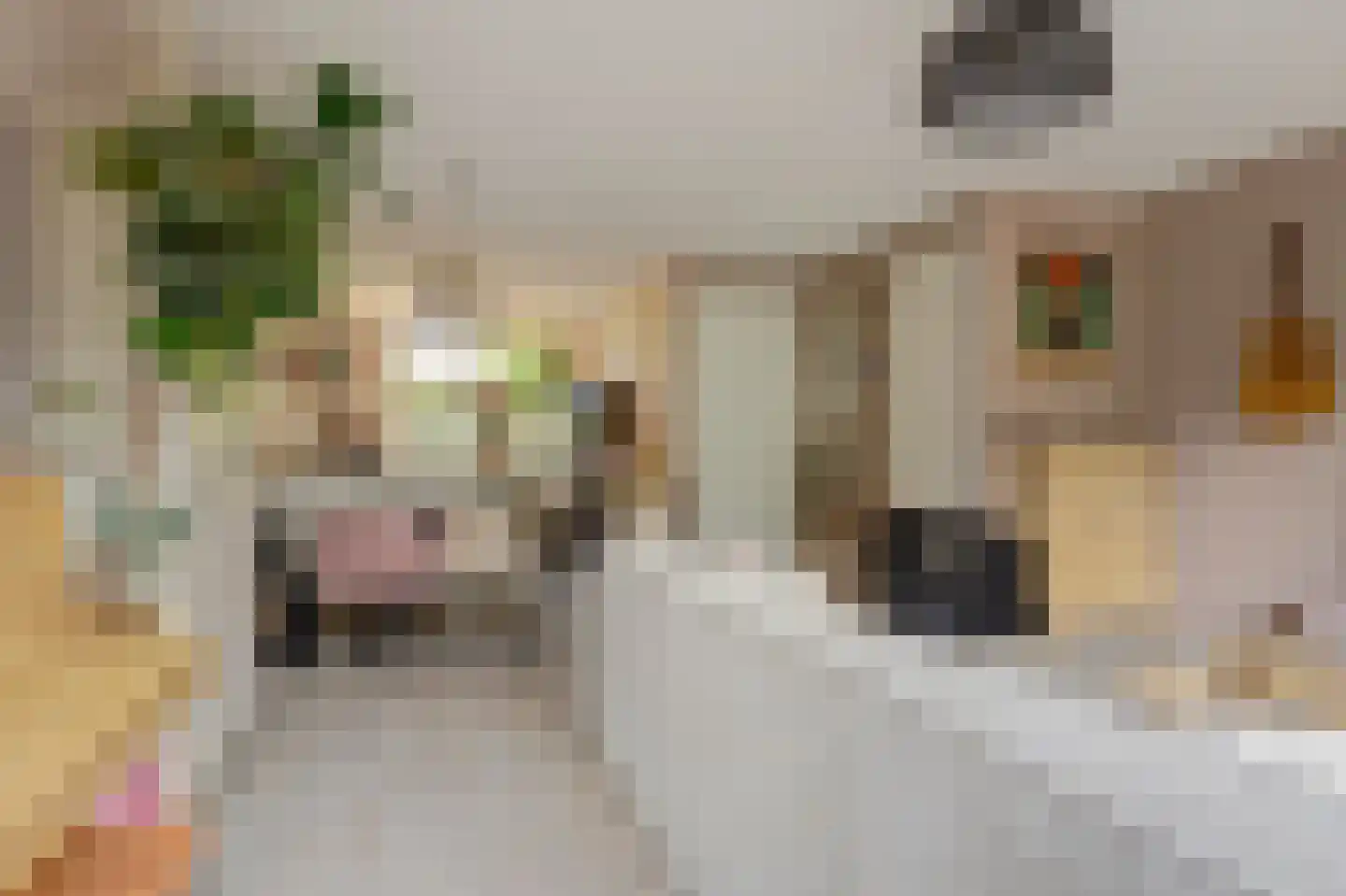 Terp 17 Alkmaar thumbnail 16