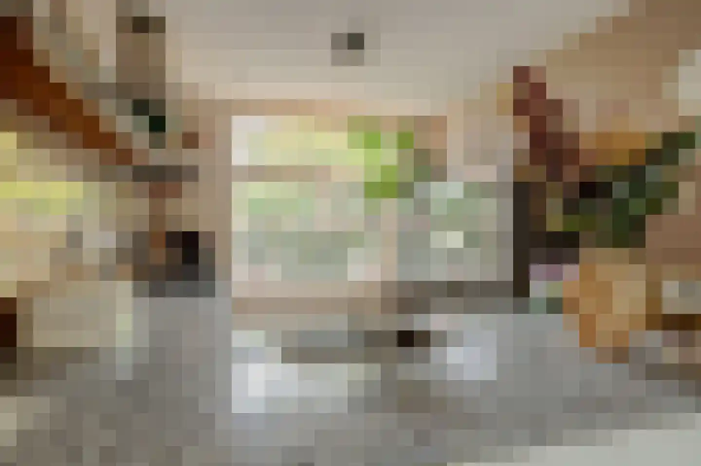 Terp 17 Alkmaar thumbnail 18
