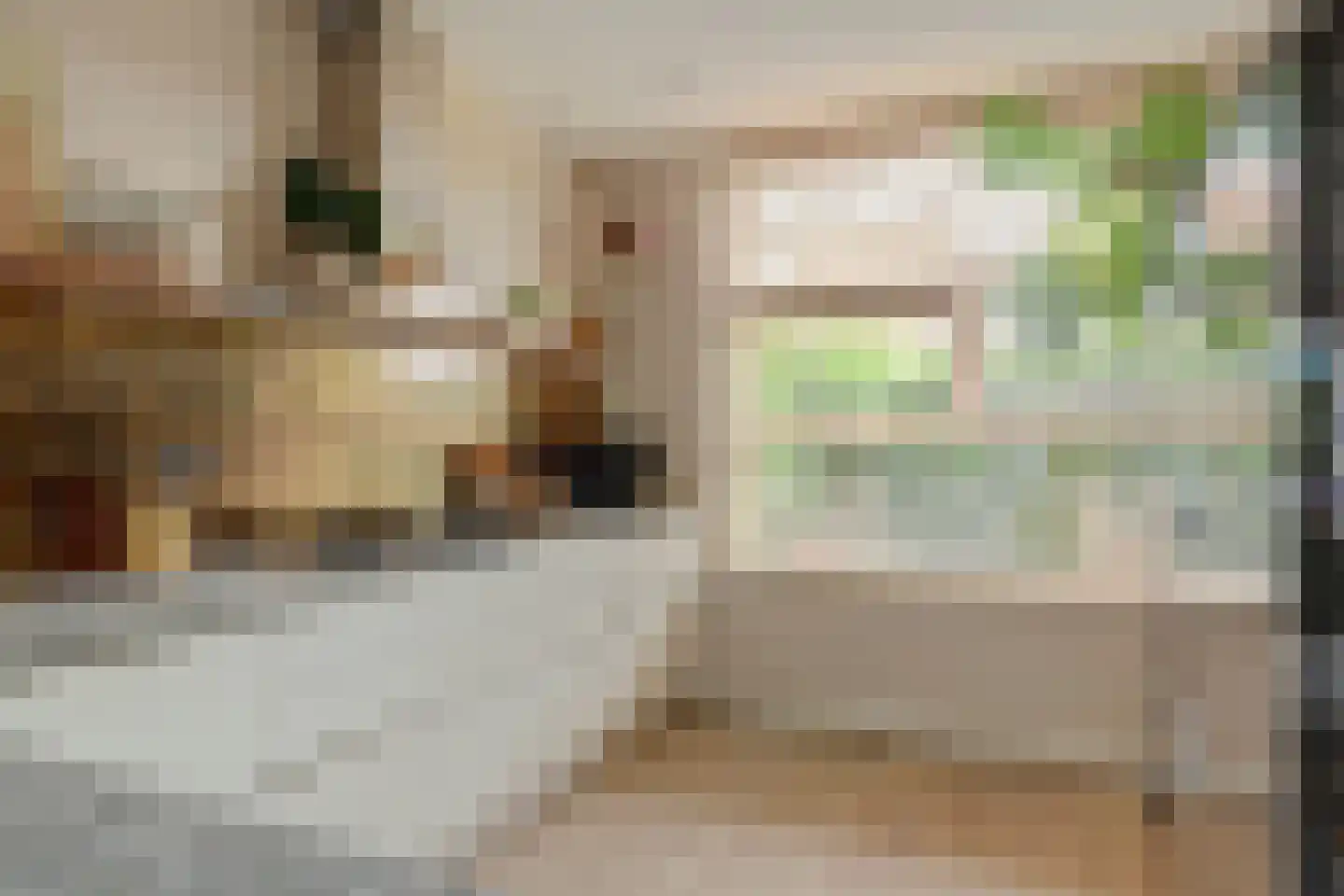 Terp 17 Alkmaar thumbnail 19