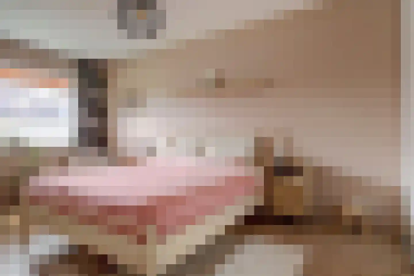 Terp 17 Alkmaar thumbnail 26