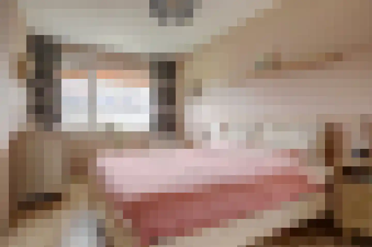 Terp 17 Alkmaar thumbnail 27