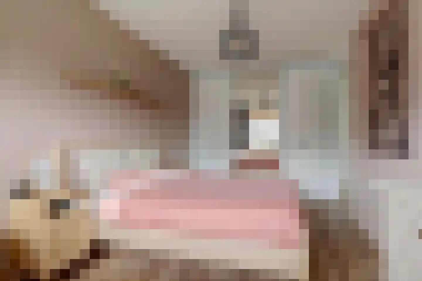 Terp 17 Alkmaar thumbnail 28