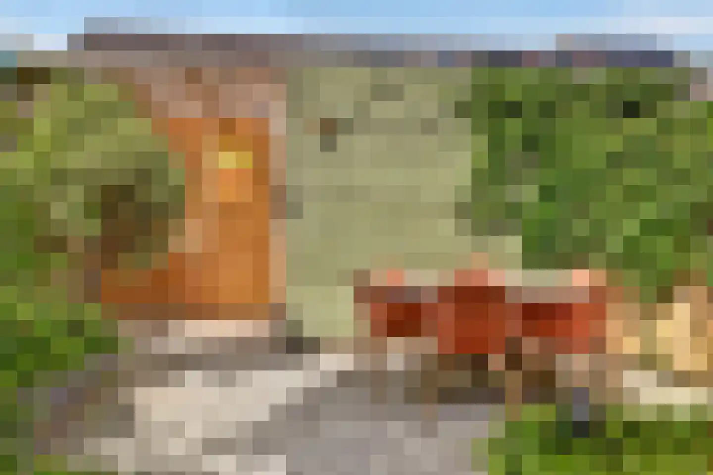 Terp 17 Alkmaar thumbnail 45