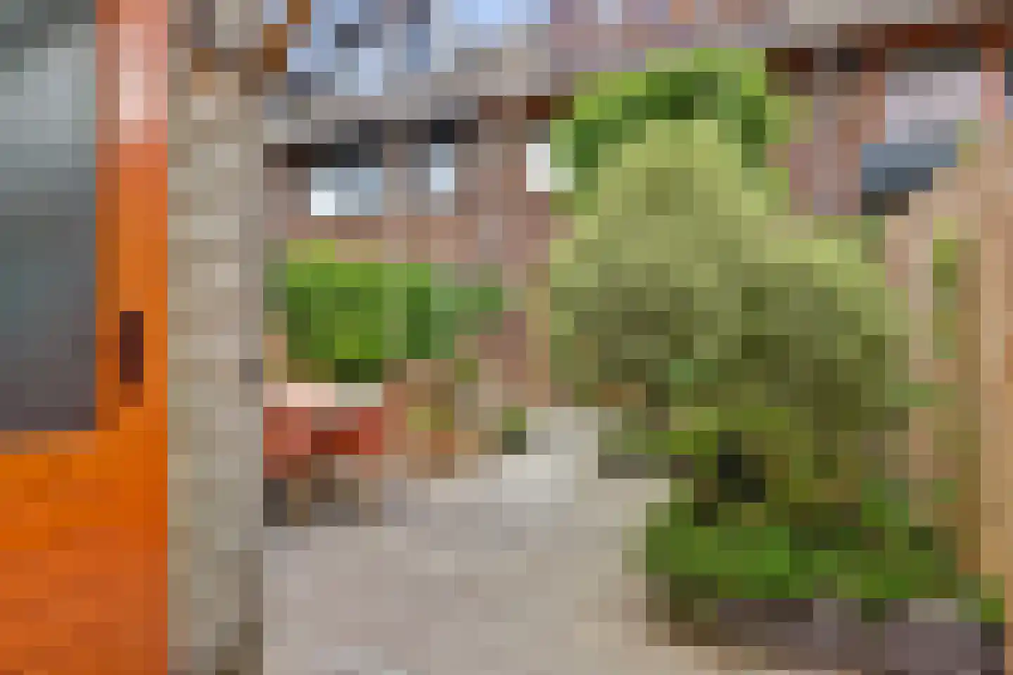 Terp 17 Alkmaar thumbnail 47