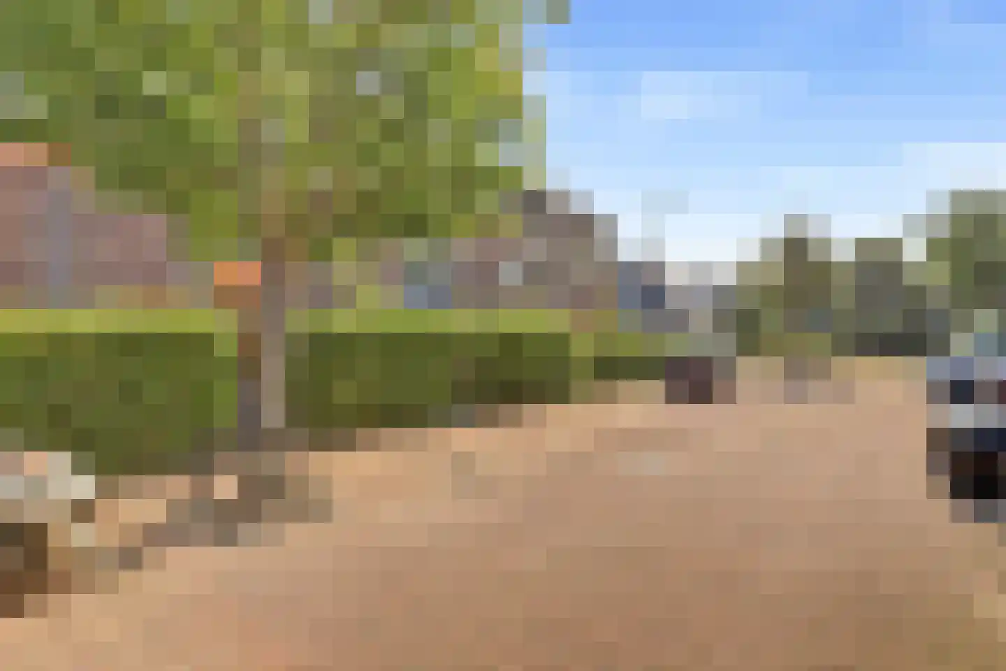 Terp 17 Alkmaar thumbnail 53