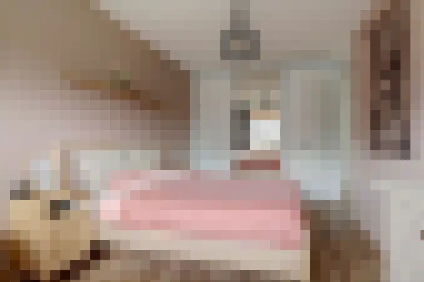 Terp 17 Alkmaar thumbnail 61