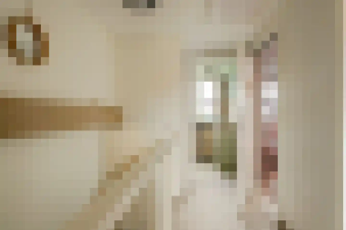 Terp 17 Alkmaar thumbnail 67