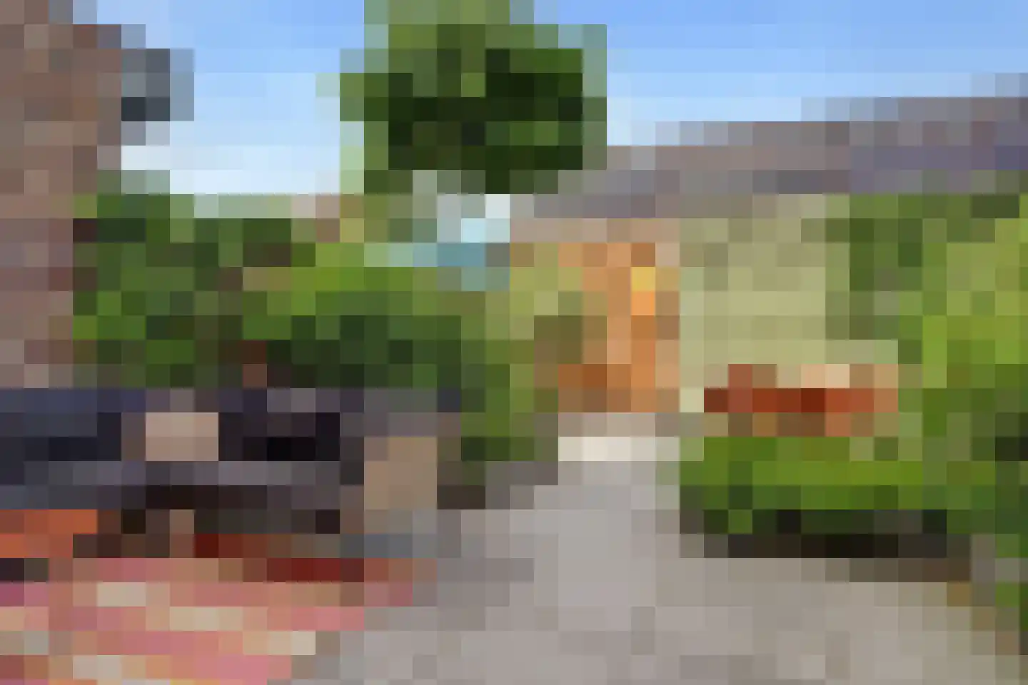 Terp 17 Alkmaar thumbnail 76