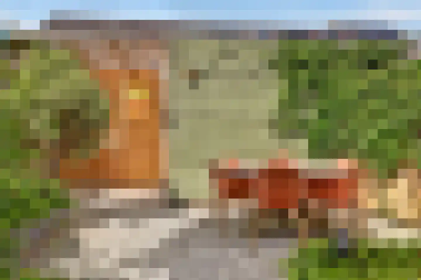 Terp 17 Alkmaar thumbnail 78