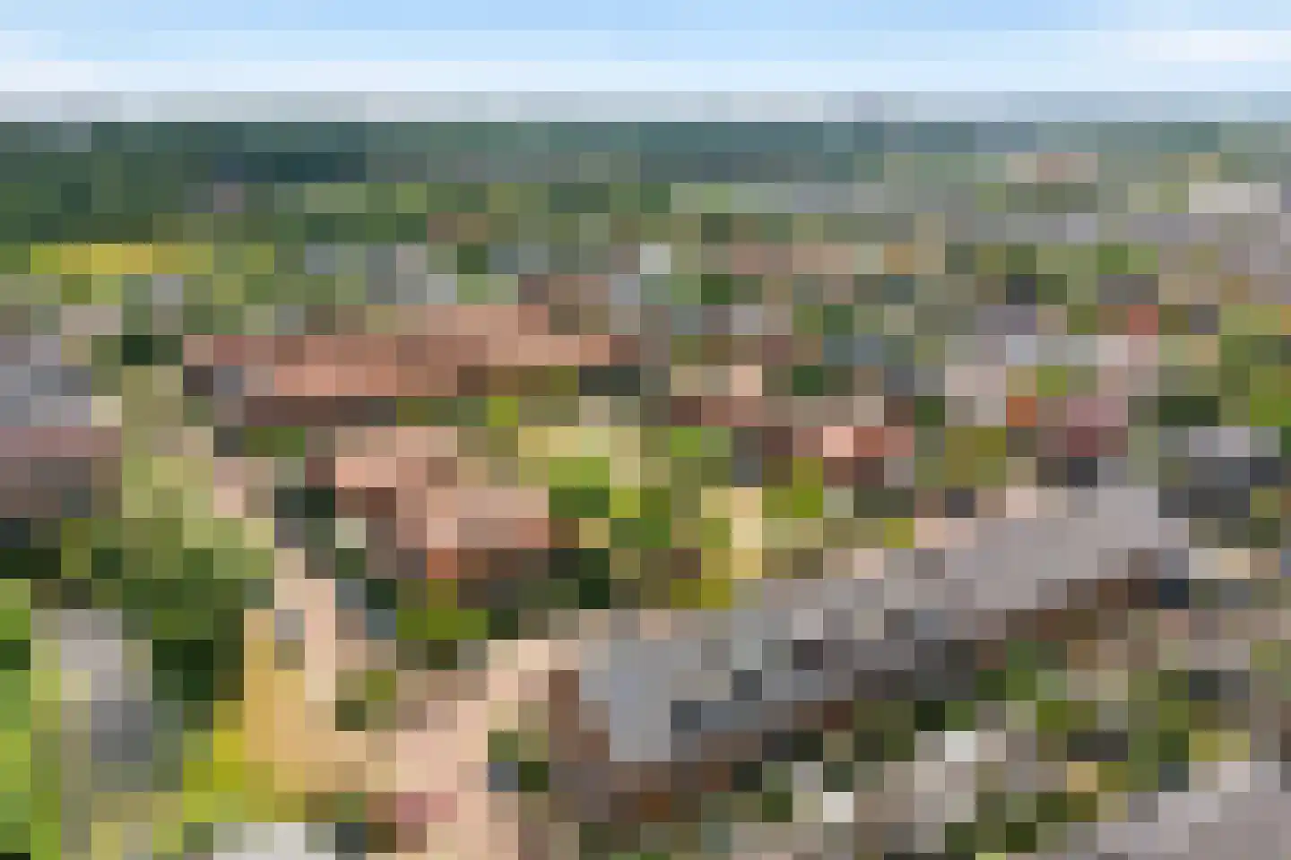 Terp 17 Alkmaar thumbnail 82