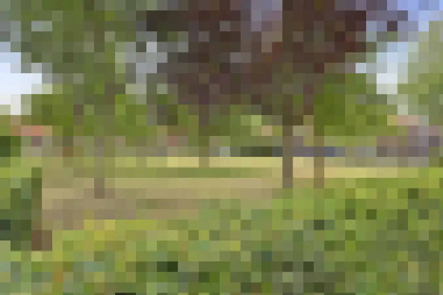 Terp 17 Alkmaar thumbnail 84