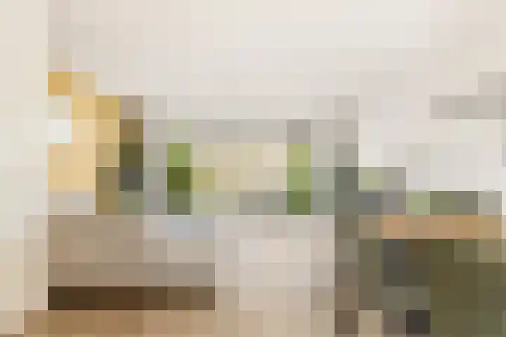 Terp 21 Alkmaar thumbnail 11