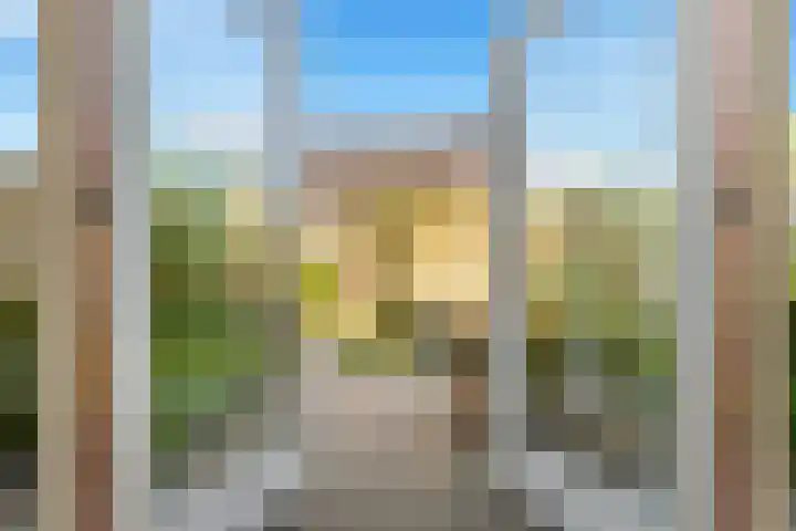 Terp 21 Alkmaar thumbnail 13