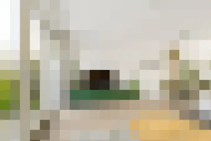 Terp 21 Alkmaar thumbnail 14