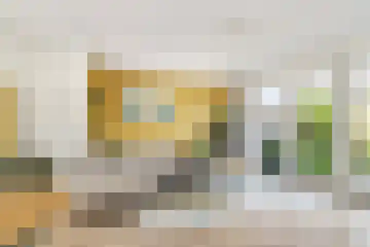 Terp 21 Alkmaar thumbnail 16