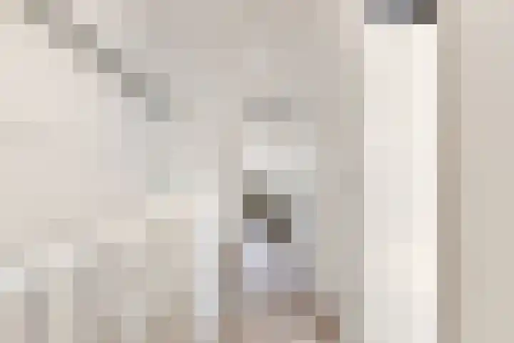 Terp 21 Alkmaar thumbnail 36