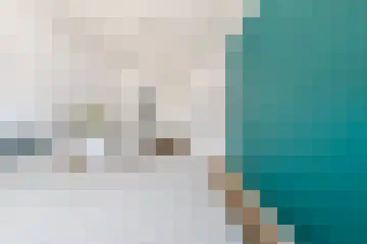 Terp 21 Alkmaar thumbnail 4