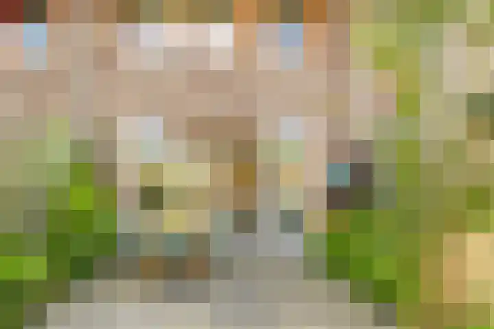 Terp 21 Alkmaar thumbnail 47