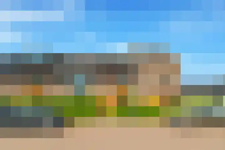 Terp 21 Alkmaar thumbnail 48
