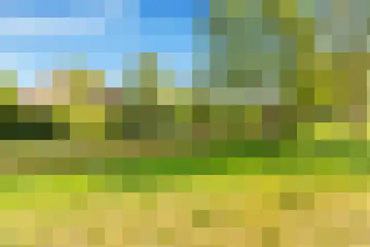 Terp 21 Alkmaar thumbnail 49