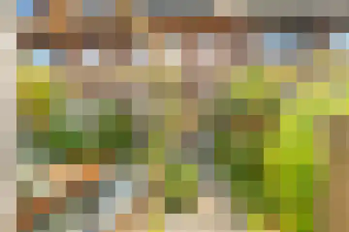 Terp 21 Alkmaar thumbnail 5