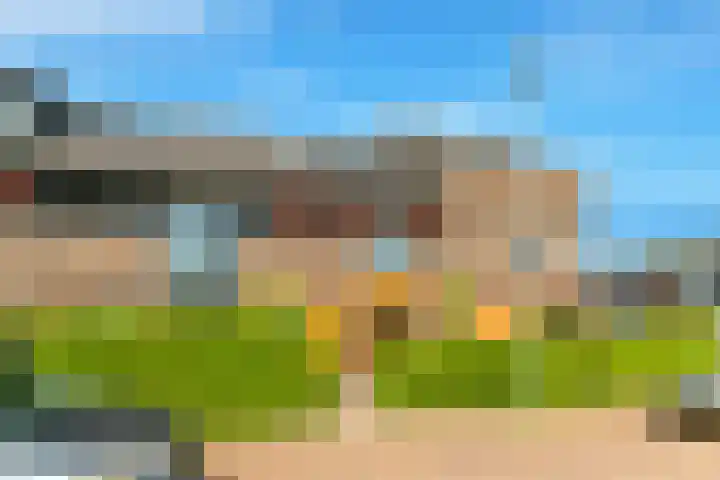 Terp 21 Alkmaar thumbnail 6