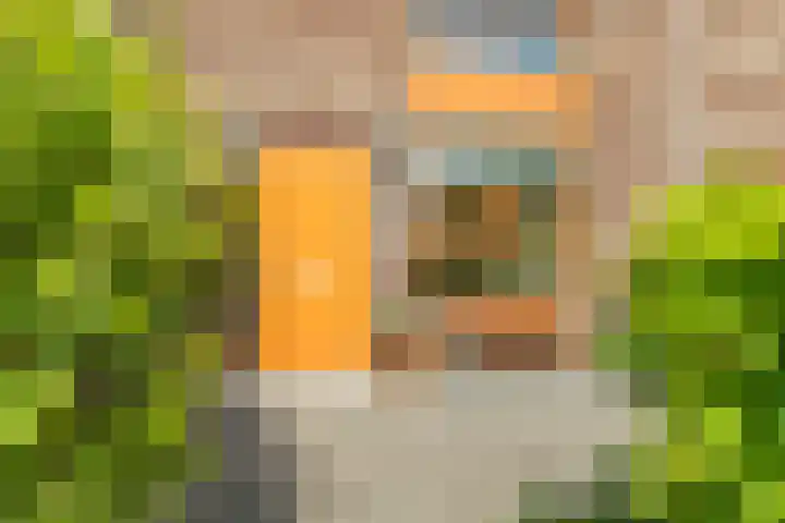 Terp 21 Alkmaar thumbnail 7