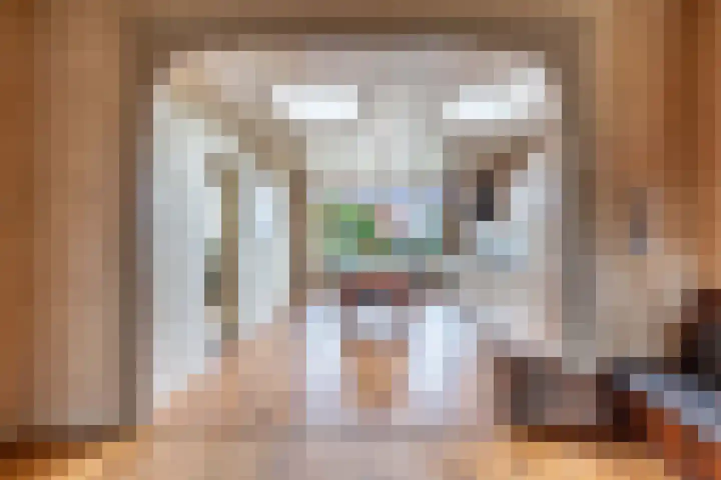 Terp 38 Wommels thumbnail 13