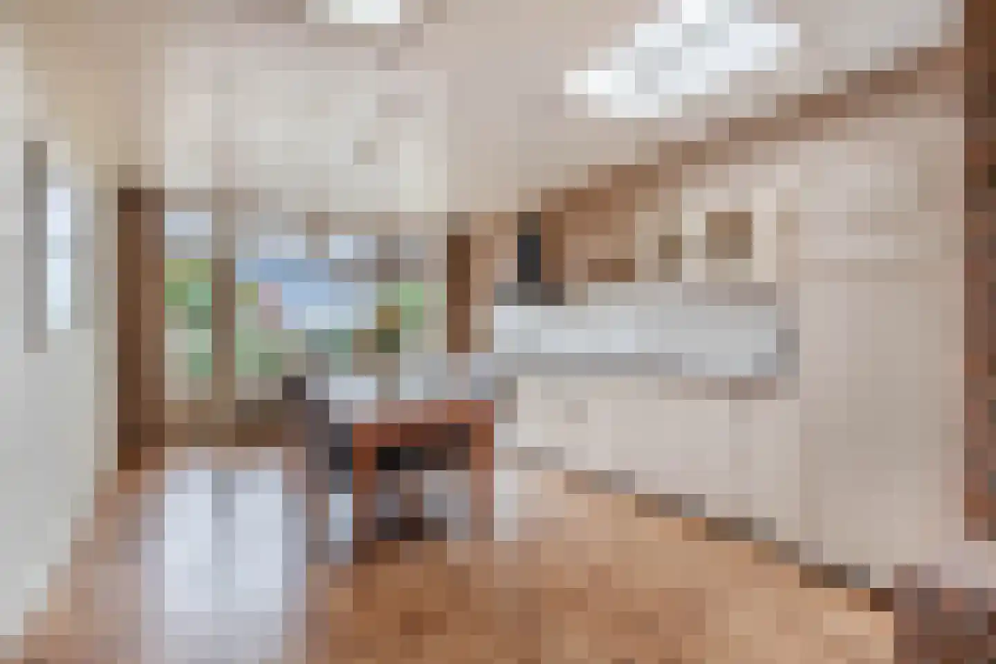 Terp 38 Wommels thumbnail 14