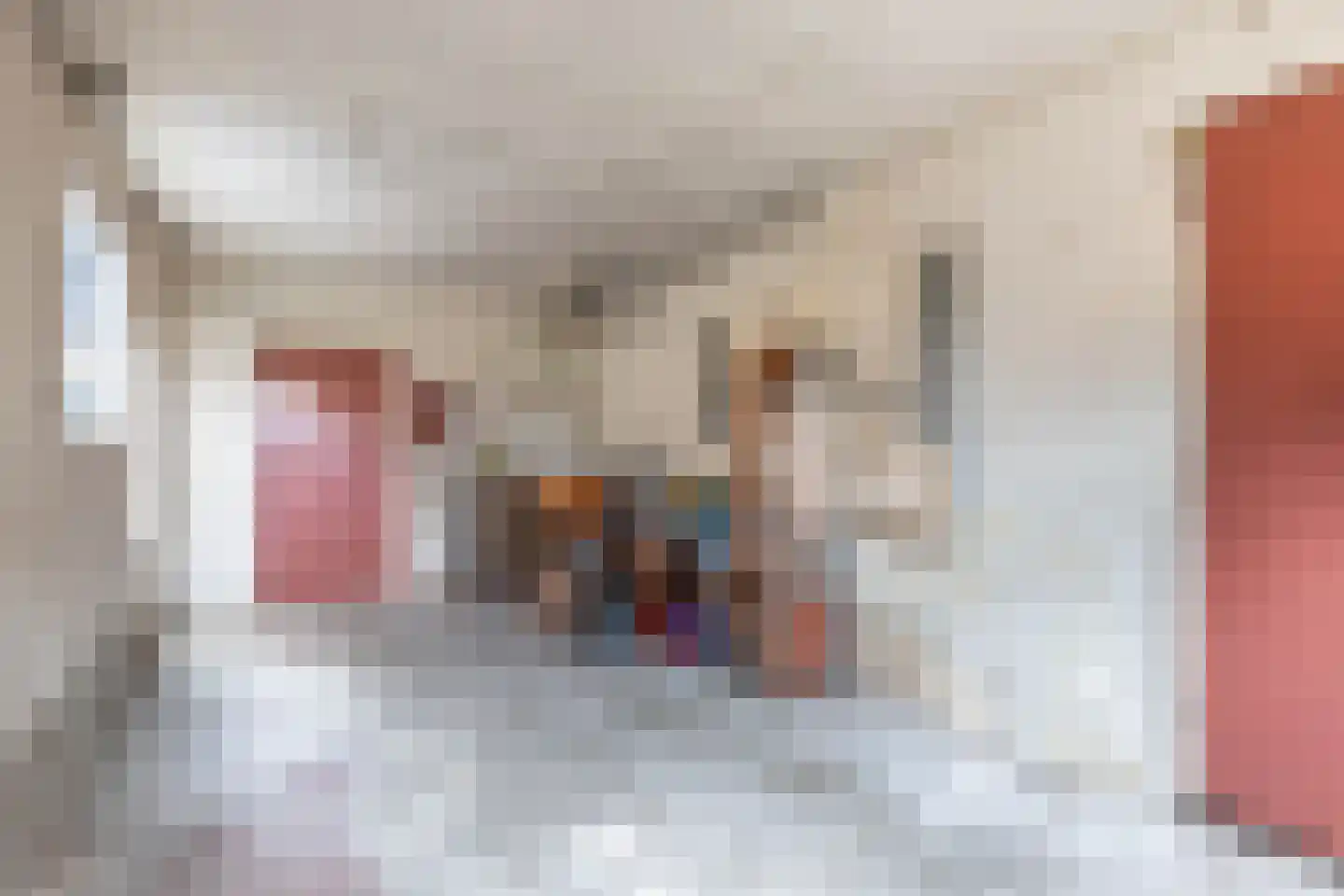 Terp 38 Wommels thumbnail 24