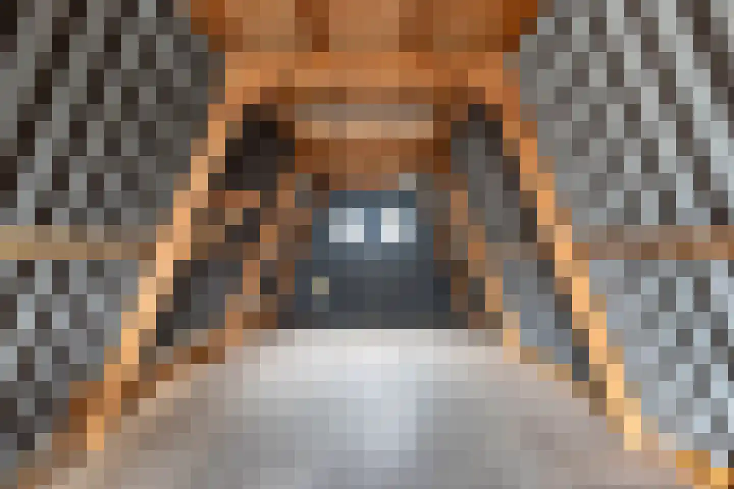 Terp 38 Wommels thumbnail 26