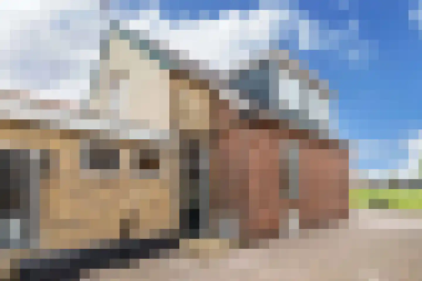 Terp 38 Wommels thumbnail 29