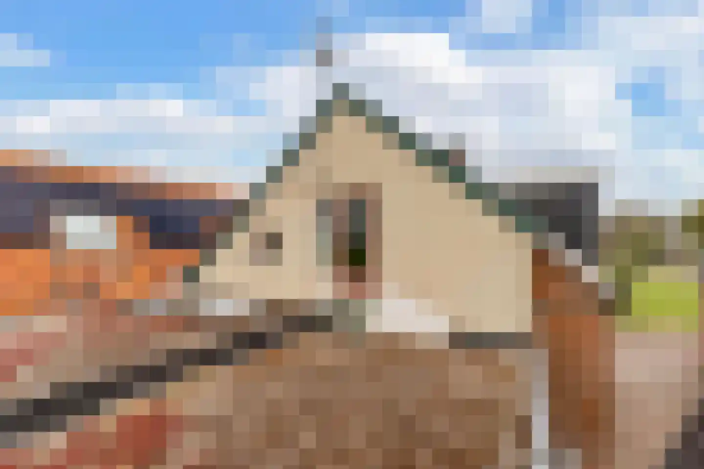 Terp 38 Wommels thumbnail 37
