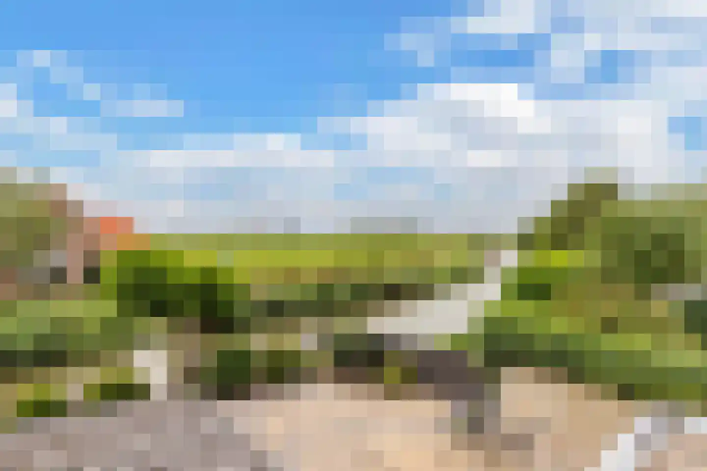 Terp 38 Wommels thumbnail 4