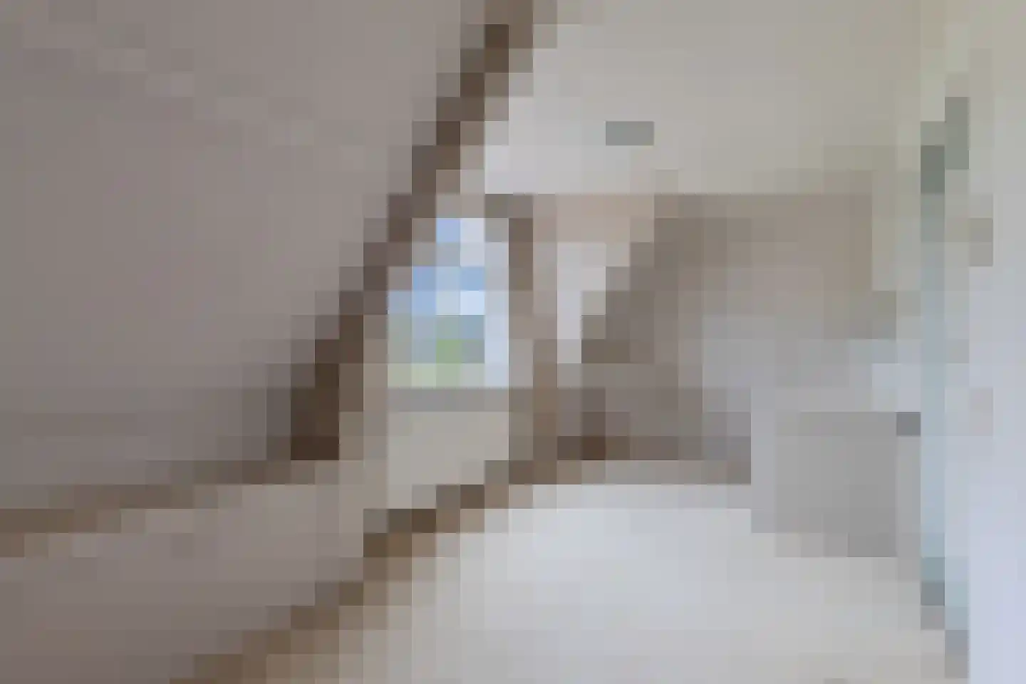 Terp 38 Wommels thumbnail 41