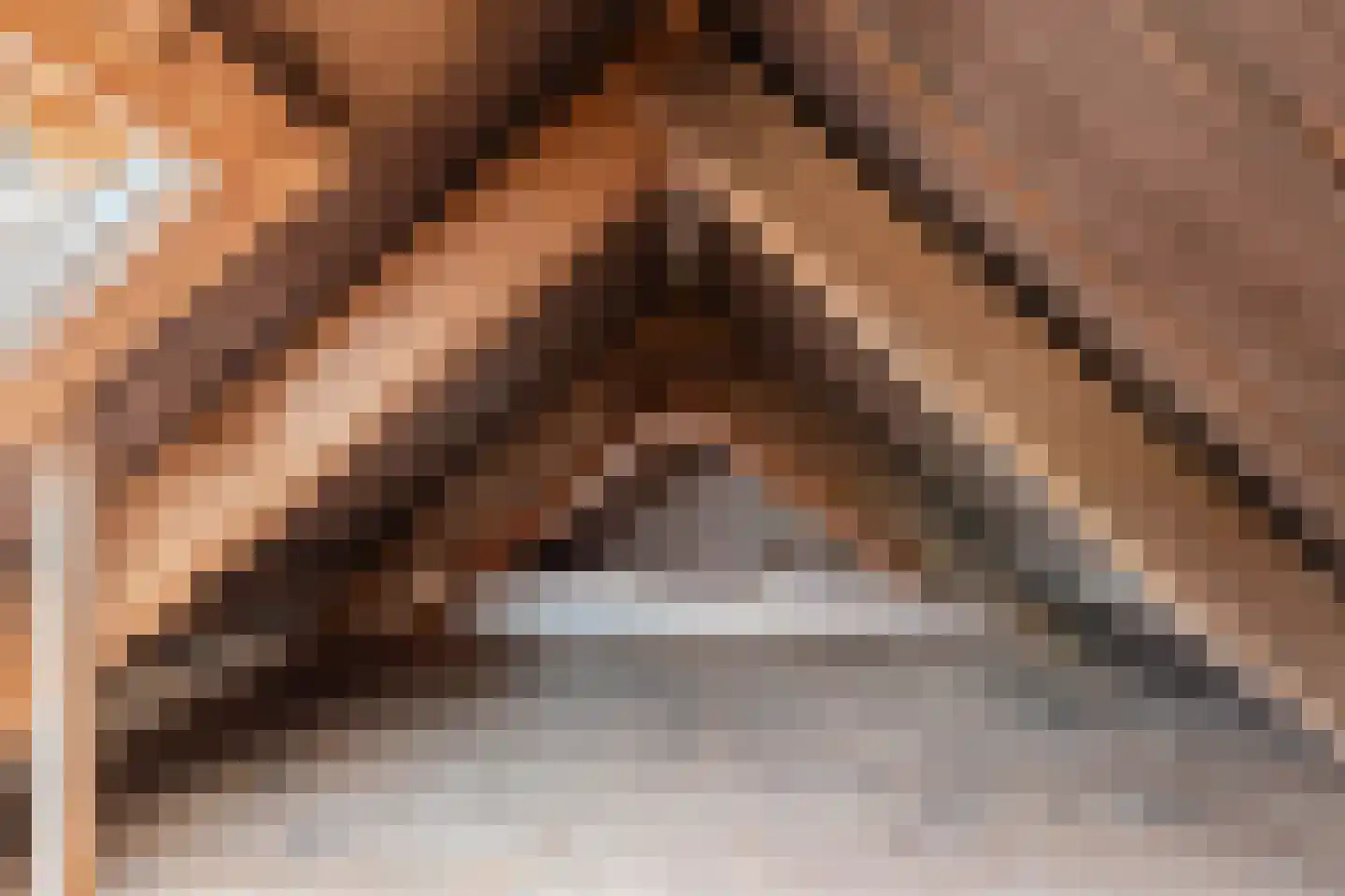 Terp 38 Wommels thumbnail 45