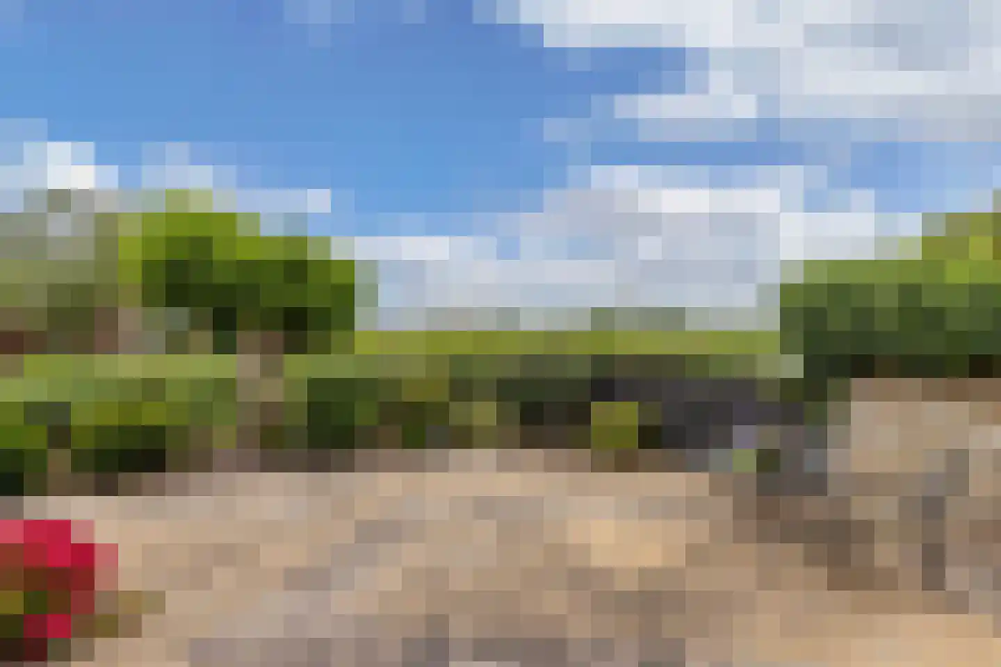 Terp 38 Wommels thumbnail 53